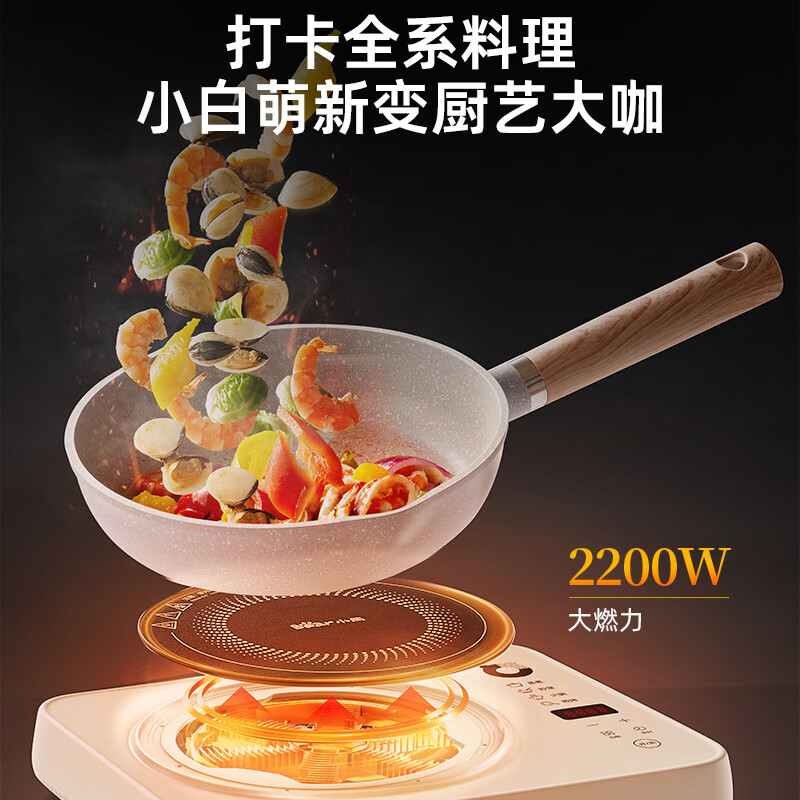 小熊DCL-B22H5电磁炉图片