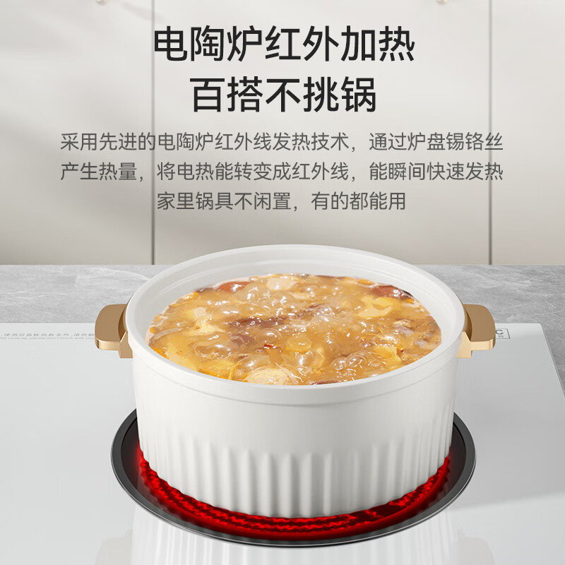 富得莱FDL-SZ-231电磁炉图片