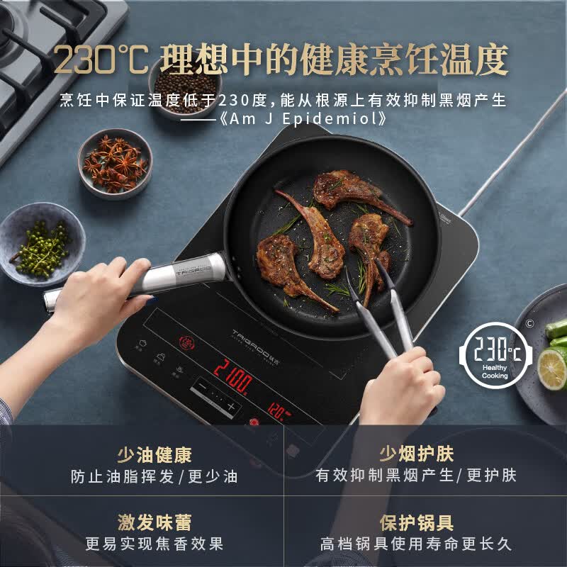 Taigroo-IC-A21M01.W电磁炉图片