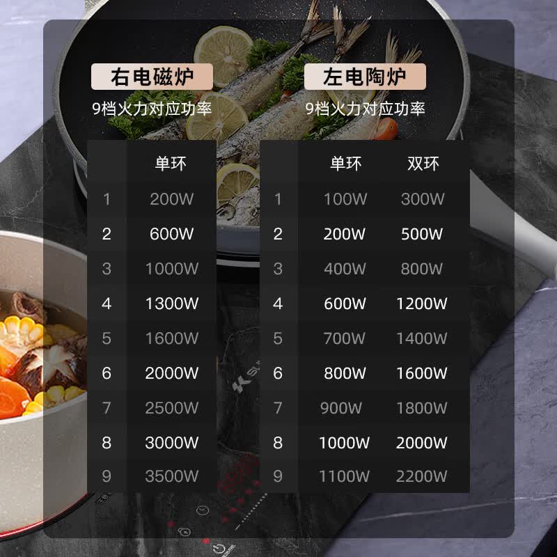 硕高OG007电磁炉图片