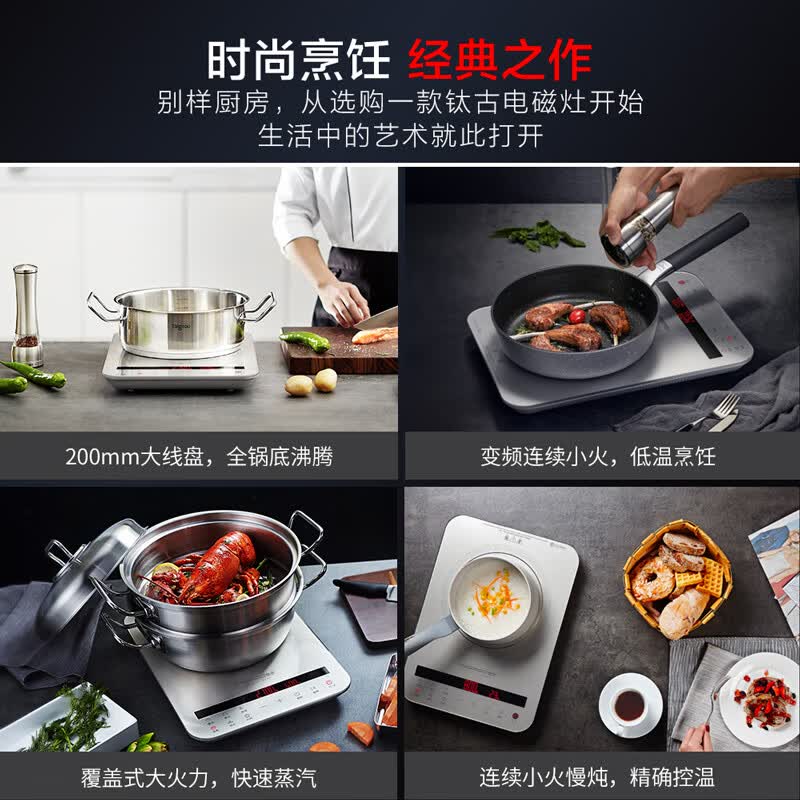 Taigroo-IC-A2103电磁炉图片
