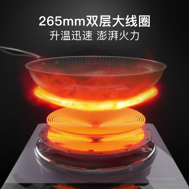 尚朋堂SC-3001A电磁炉图片