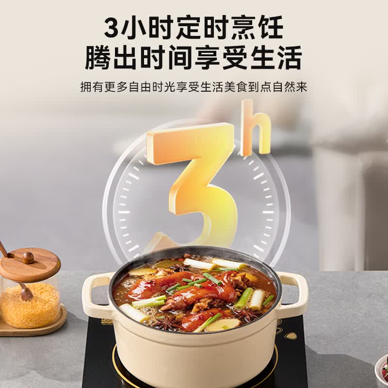 美的C21-WK2102电磁炉图片