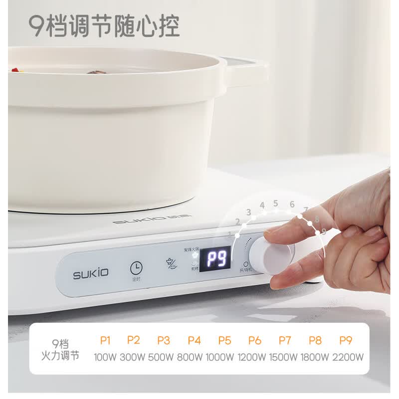 硕高G21电磁炉图片