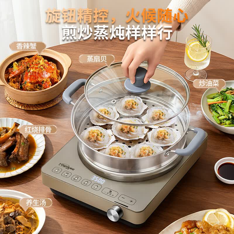 优阳F35S电磁炉图片