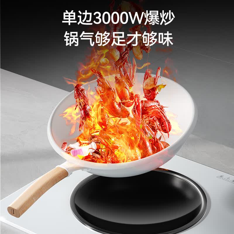 富得莱FDL-SZ-231电磁炉图片