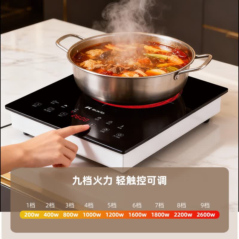 硕高SK-DK10-D02电磁炉图片