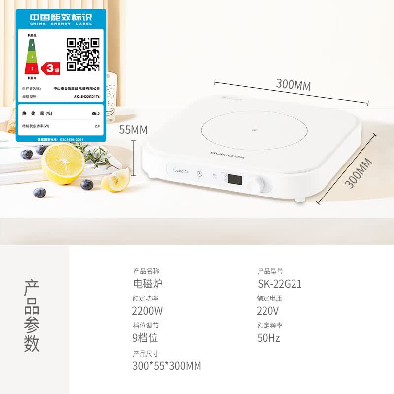 硕高G21电磁炉图片