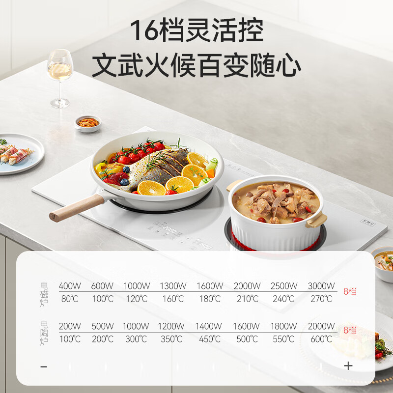 富得莱FDL-SZ-231电磁炉图片