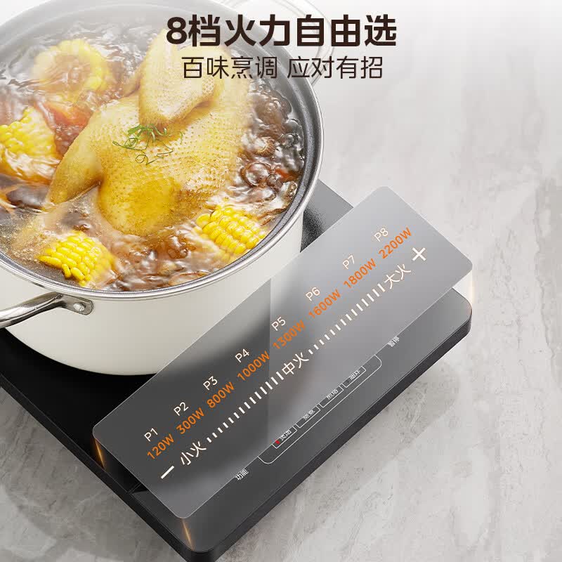 美的C22-RT22E01电磁炉图片