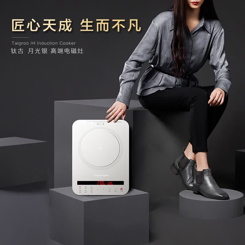 Taigroo-IC-A2103电磁炉图片