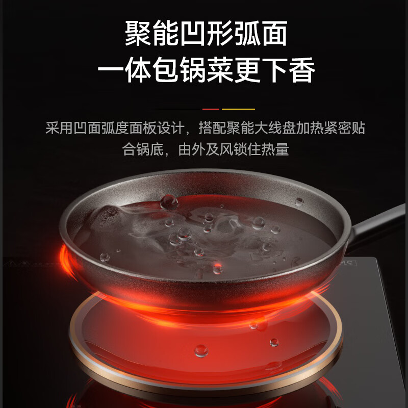 富得莱FDL-SZ-05电磁炉图片