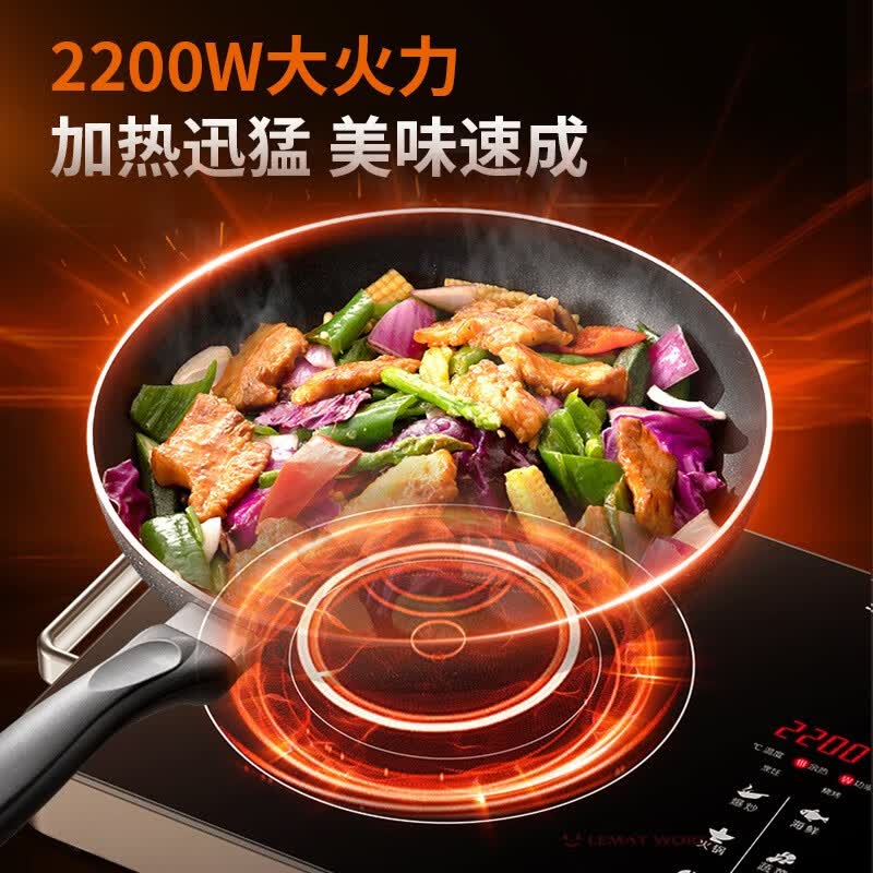 九阳H22-x3电磁炉图片