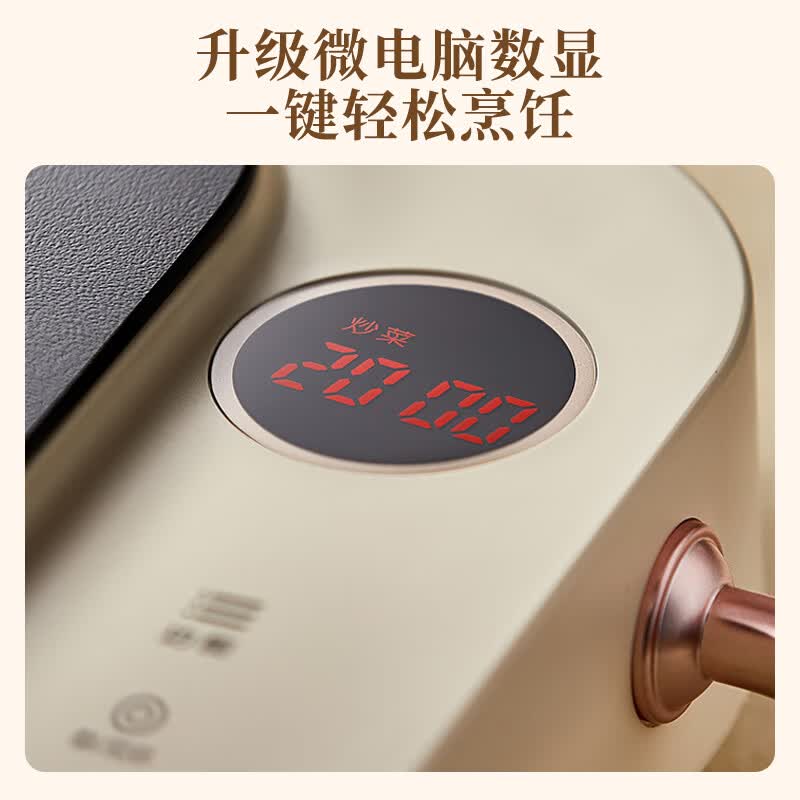 小熊DTL-D22A1电磁炉图片