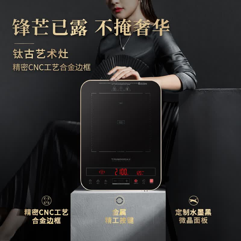 Taigroo-IC-A21M01.W电磁炉图片