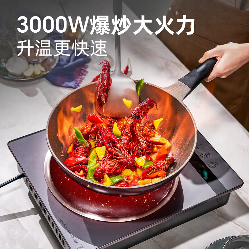 尚朋堂SC-3001A电磁炉图片