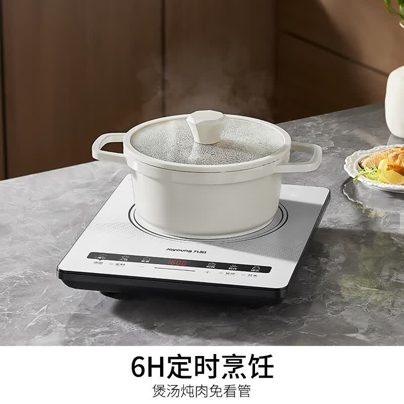 九阳C22S-N520电磁炉图片