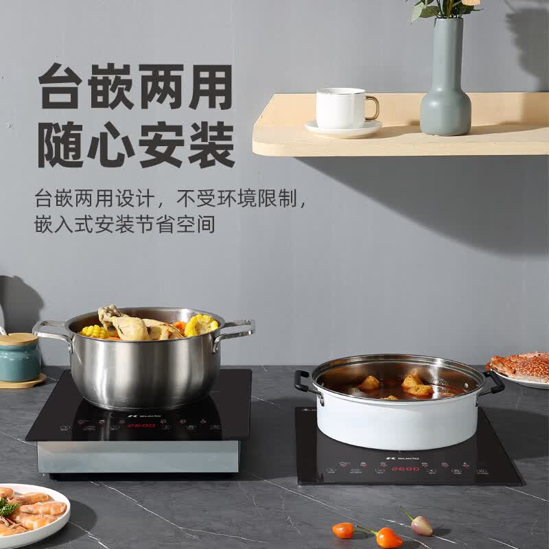 硕高SK-DK10-D02电磁炉图片