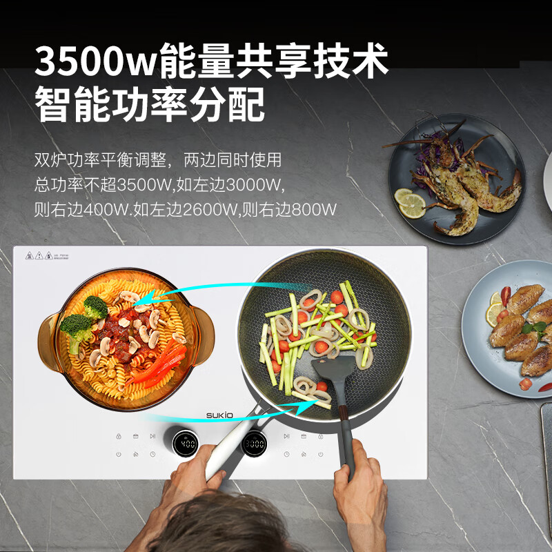 硕高S09电磁炉图片