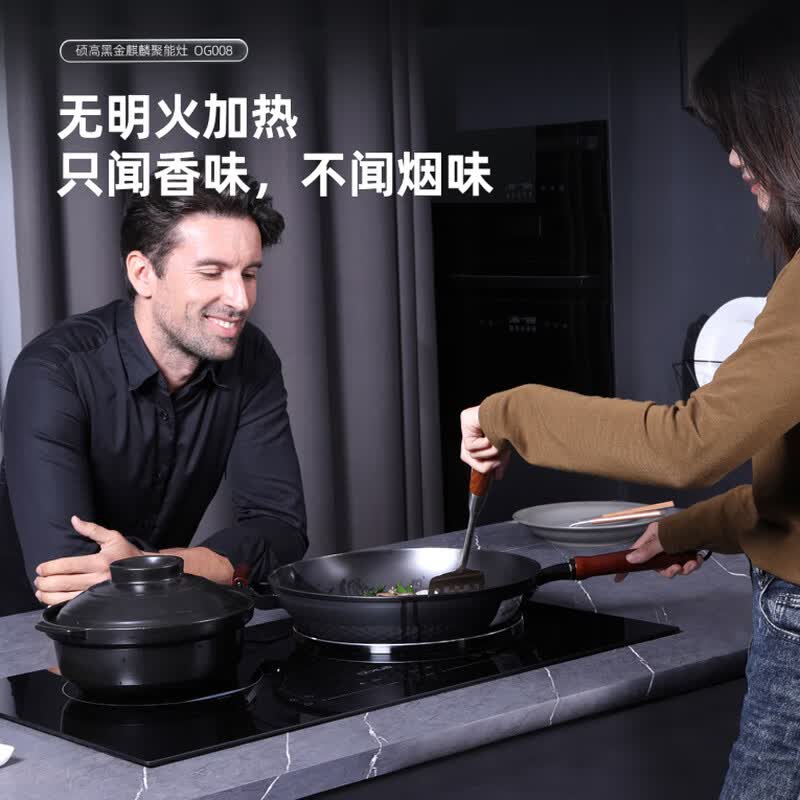 硕高OG008电磁炉图片