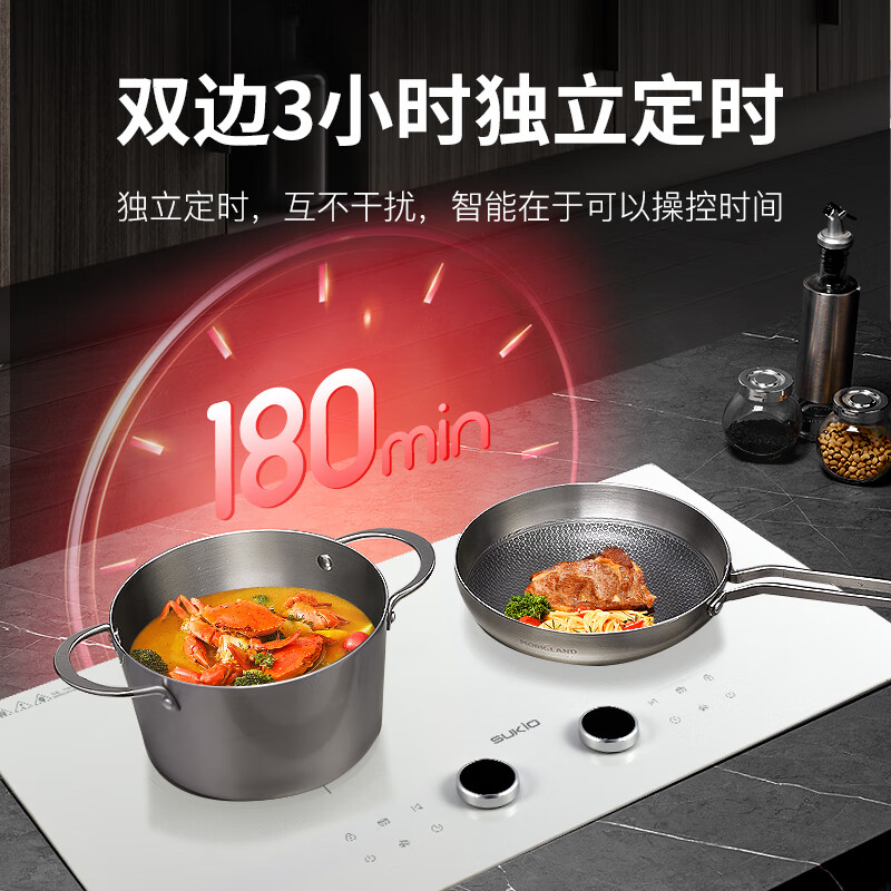 硕高S09电磁炉图片