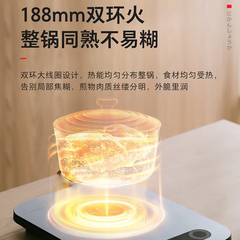 东芝IC-21RUC电磁炉图片