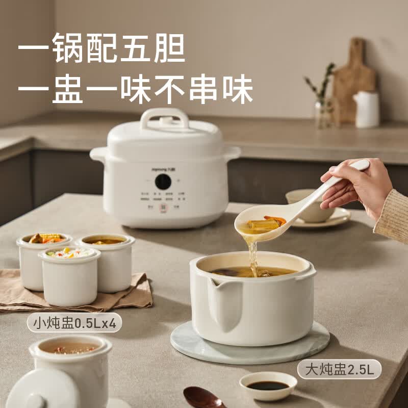 九阳DG25G-GD188L电炖锅图片