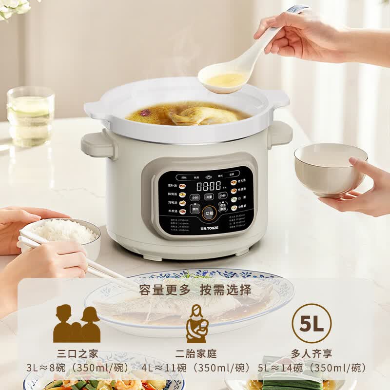 天际DDG-40DF电炖锅图片
