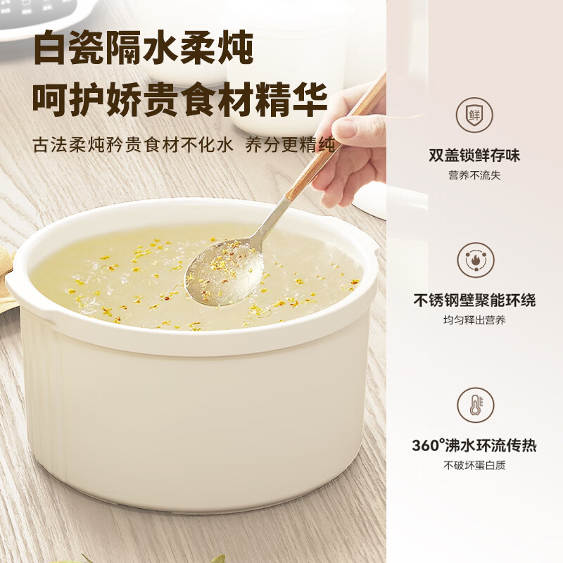 天际GSD-253GD电炖锅图片