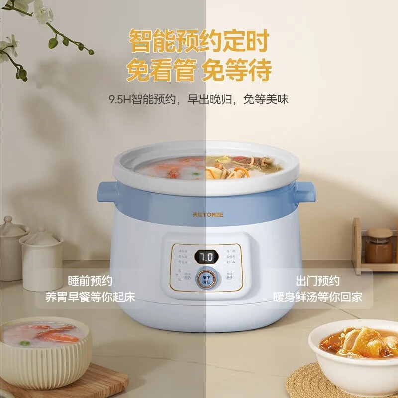天际DGDD23A30BMBW电炖锅图片