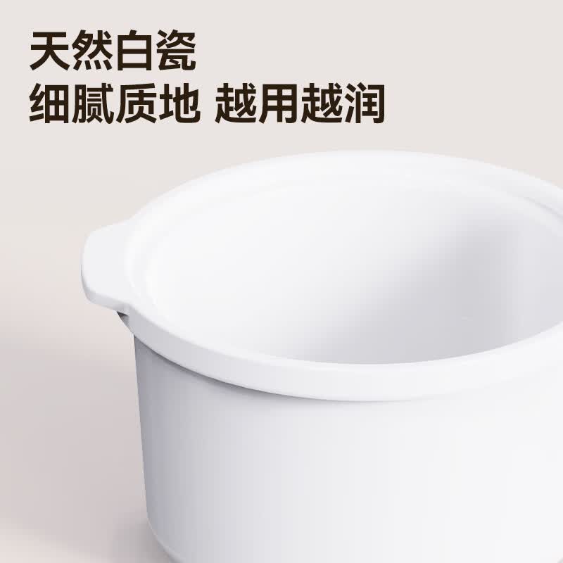天际DDG-07DAD电炖锅图片