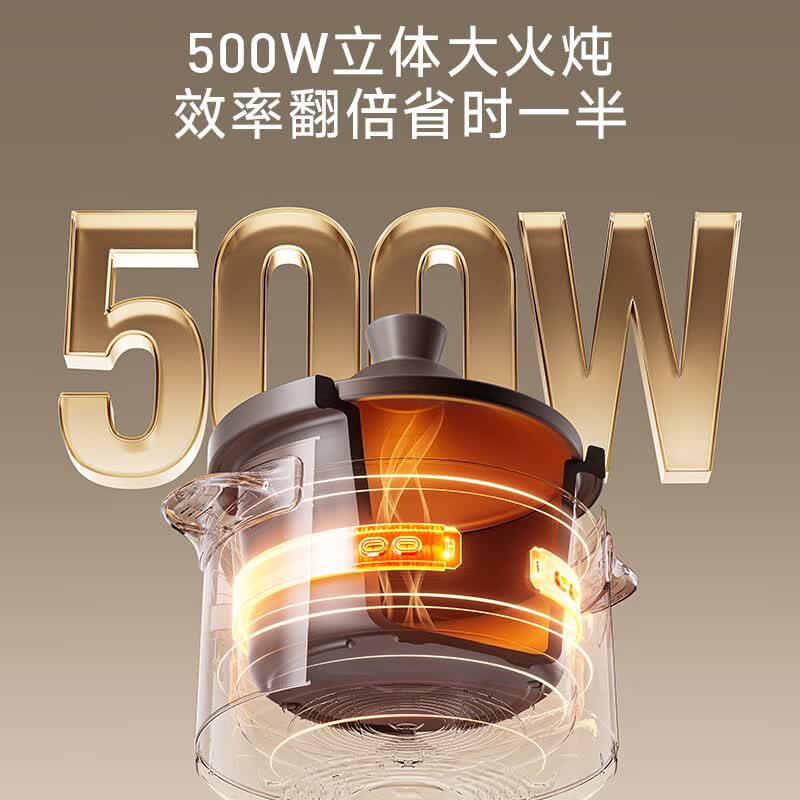 九阳DG40K-GD408电炖锅图片