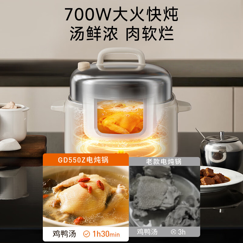 九阳DG25G-GD550Z电炖锅图片