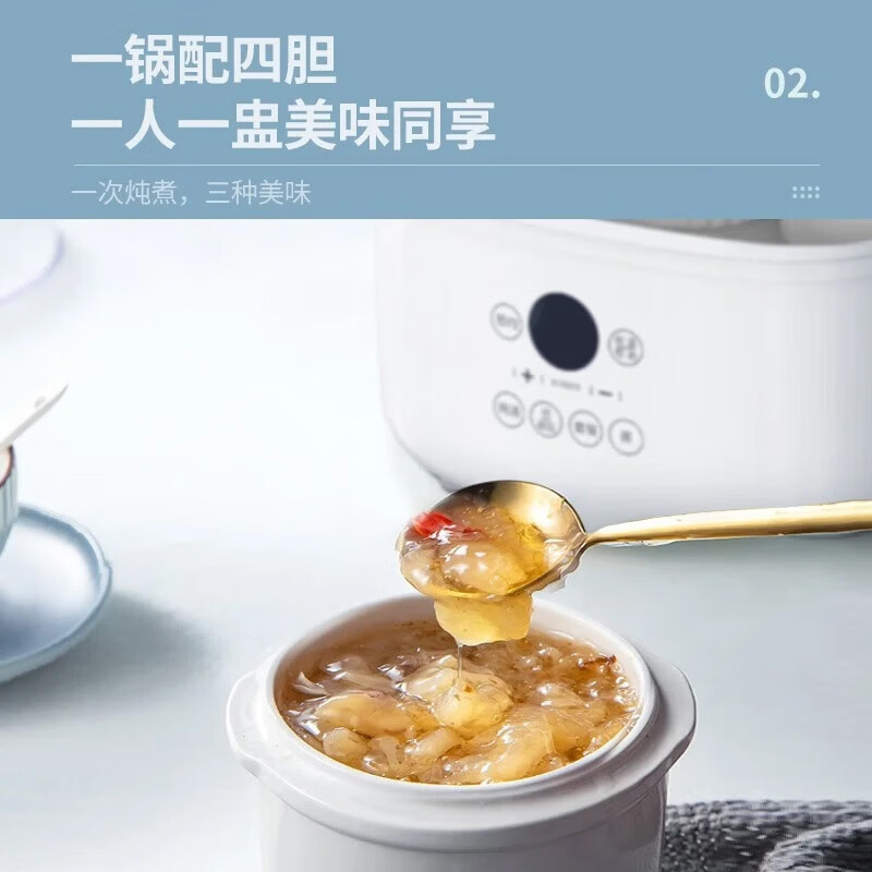 天际DGD25-25AG电炖锅图片