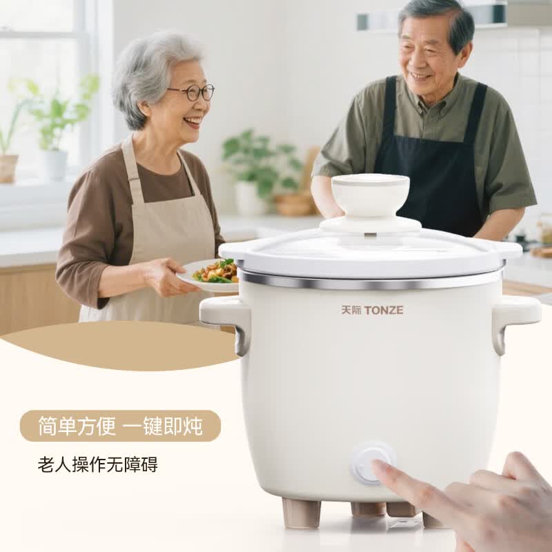 天际DDG-07DAD2电炖锅图片