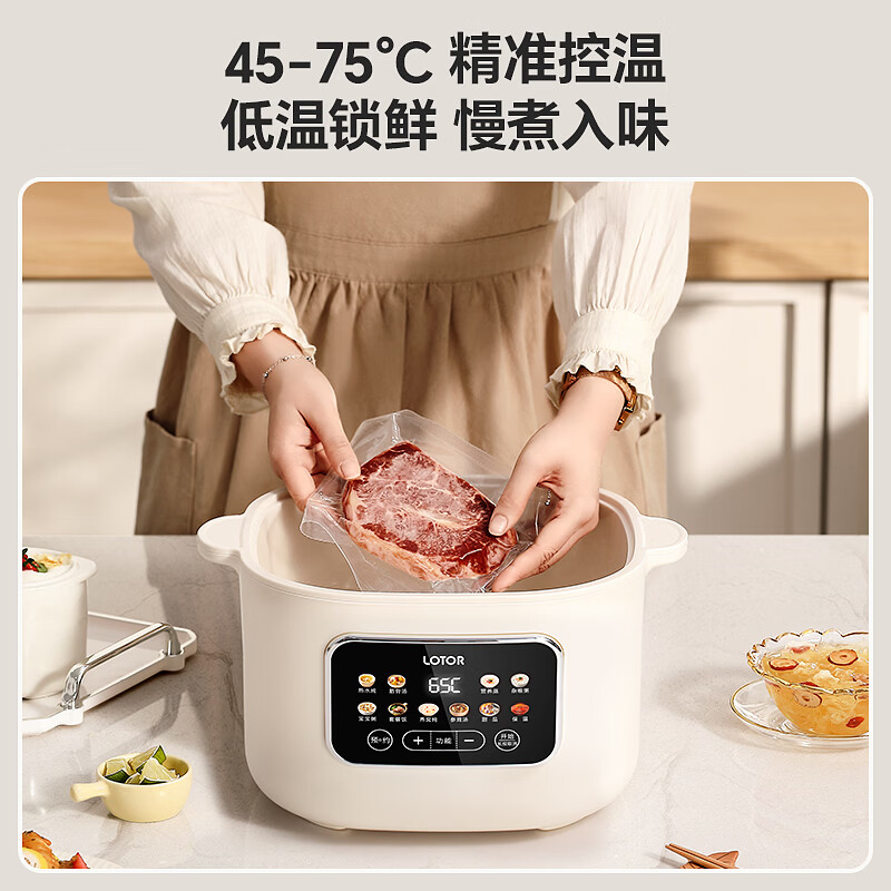 LOTOR徕多LD-DDZ40A电炖锅图片