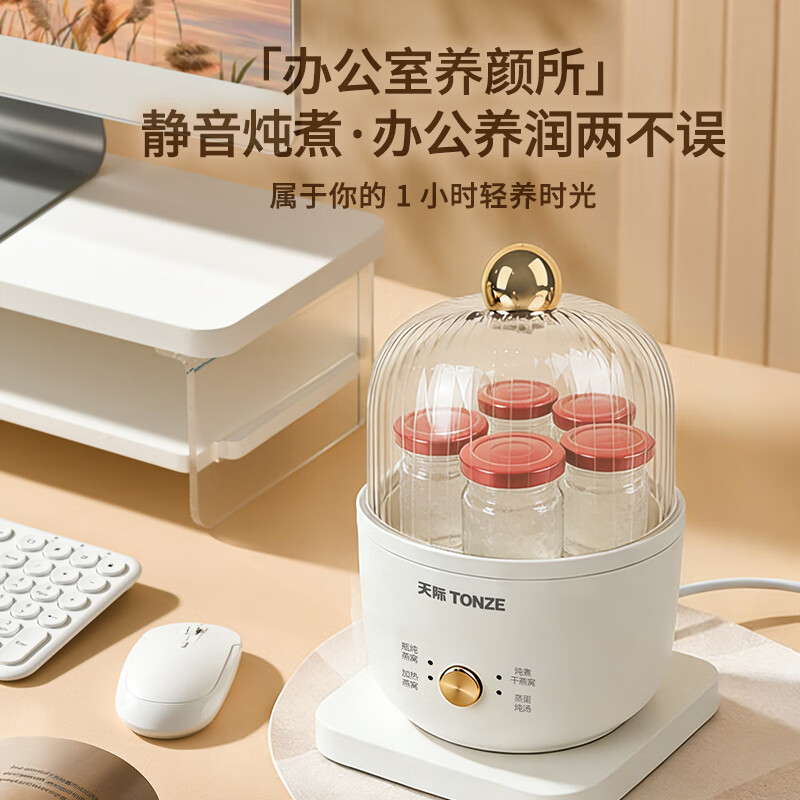 天际YWJ-06YW-1电炖锅图片