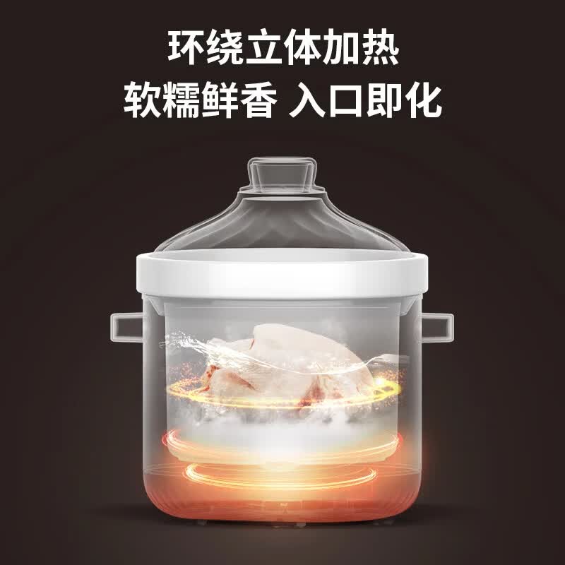 天际DDG-10DX电炖锅图片