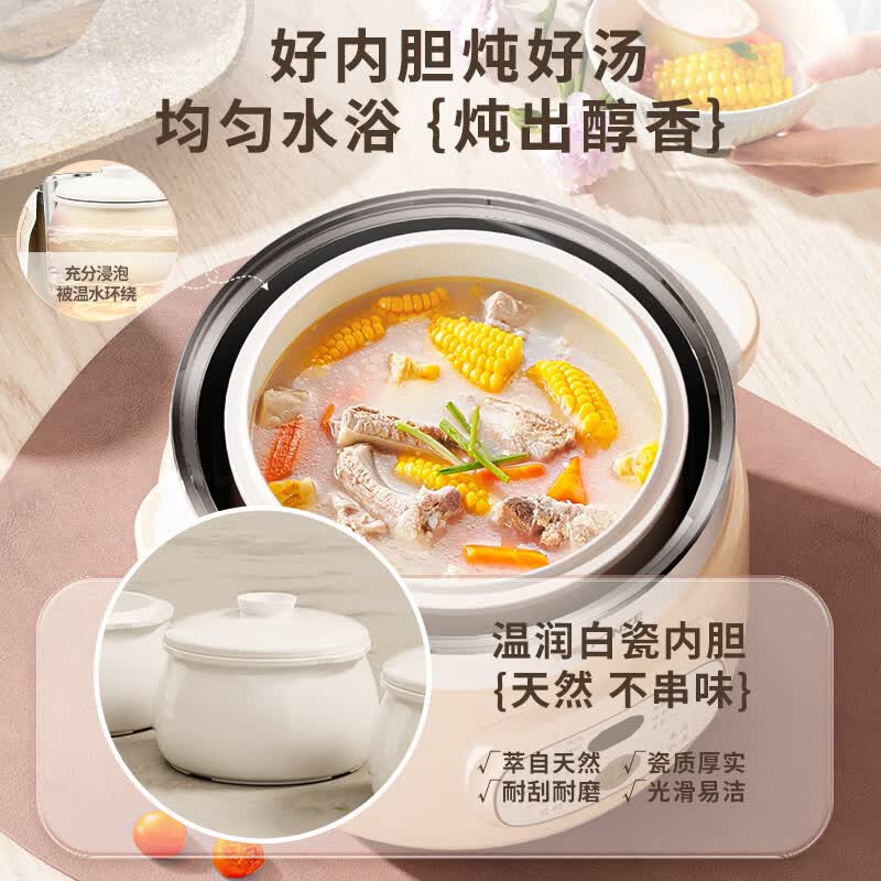 天际DGGD24A163BZDQ电炖锅图片