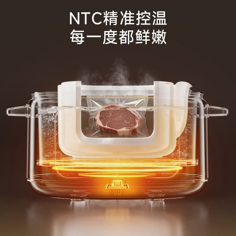 九阳DG25G-GD550Z电炖锅图片