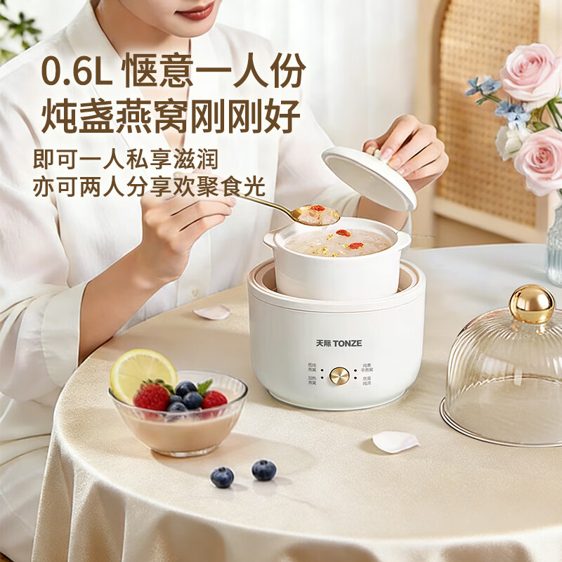 天际YWJ-06YW-1电炖锅图片