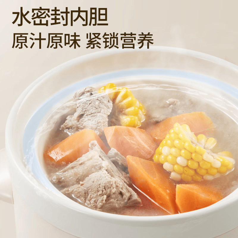 天际DDG-15DB电炖锅图片