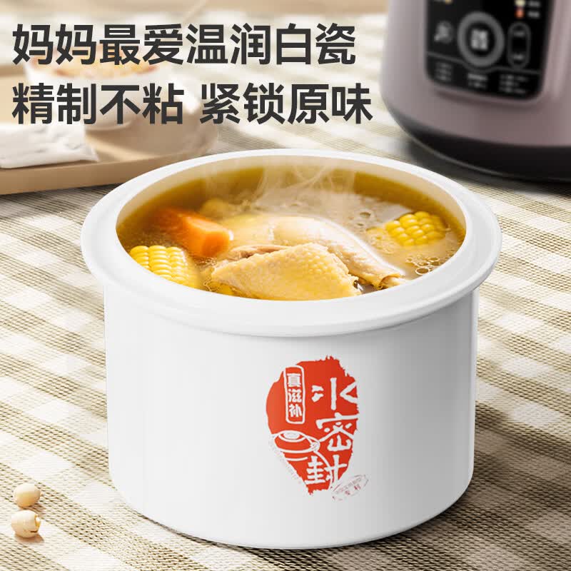 天际GSD-353GE2电炖锅图片
