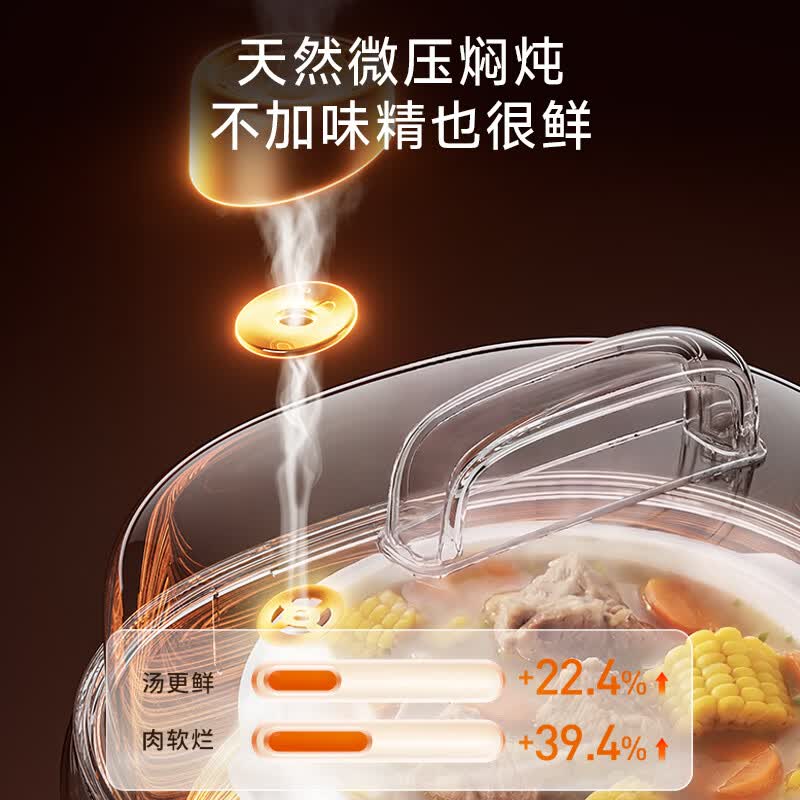 九阳DG25G-GD550Z电炖锅图片