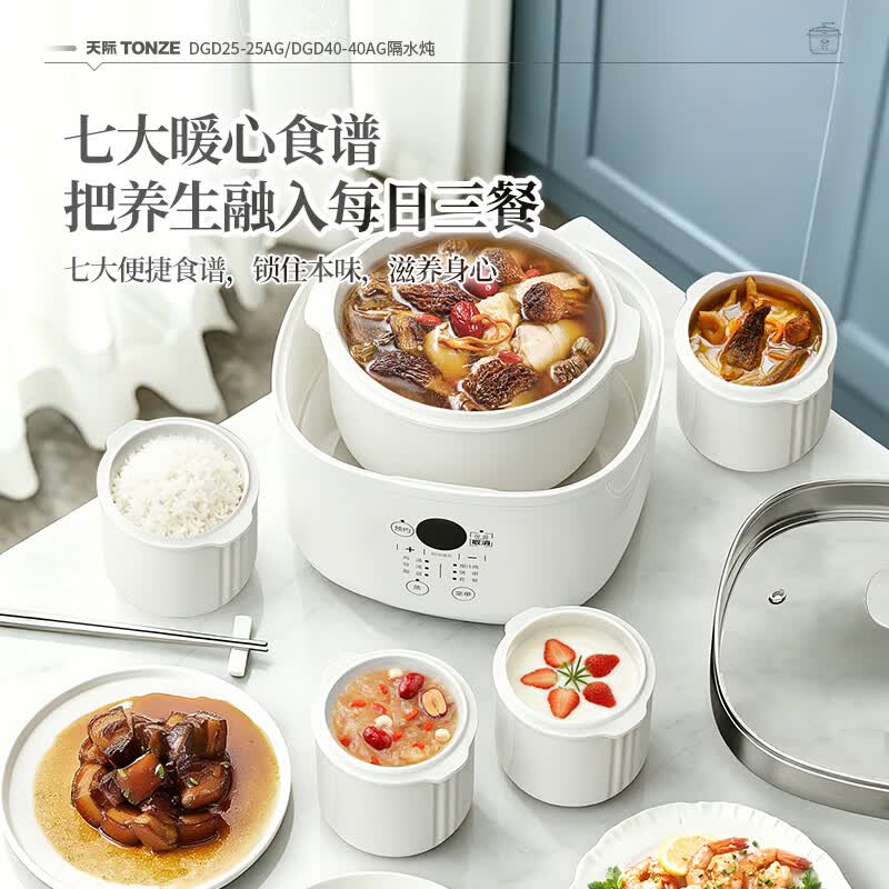 天际DGD25-25AG电炖锅图片