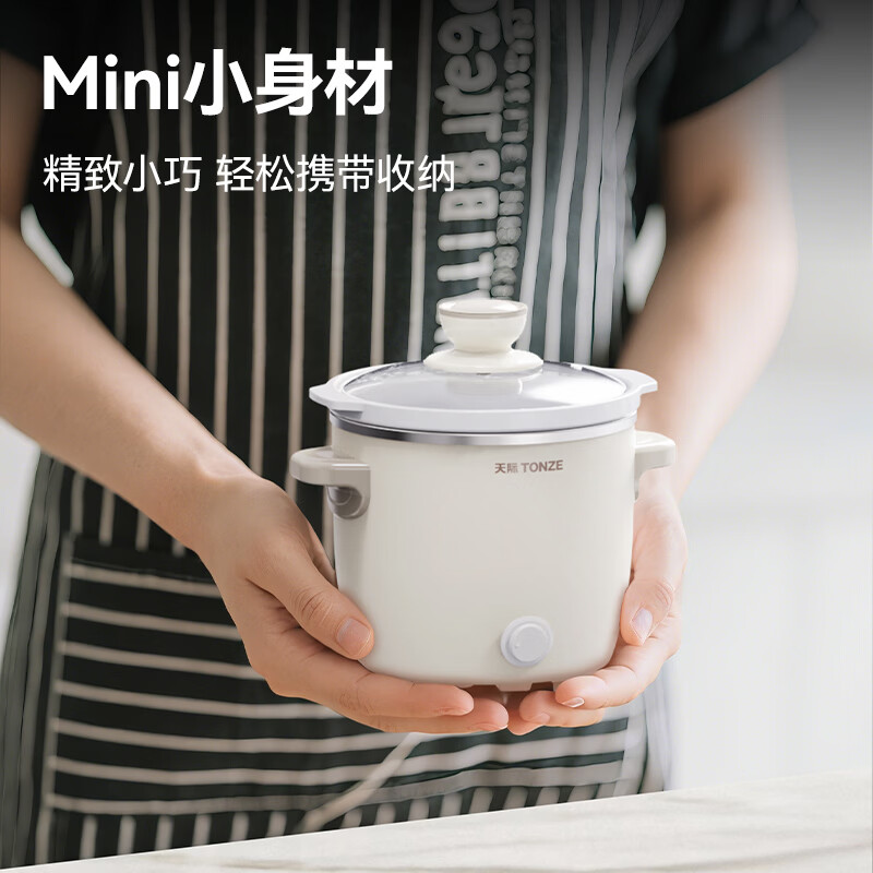 天际DDG-07DAD2电炖锅图片