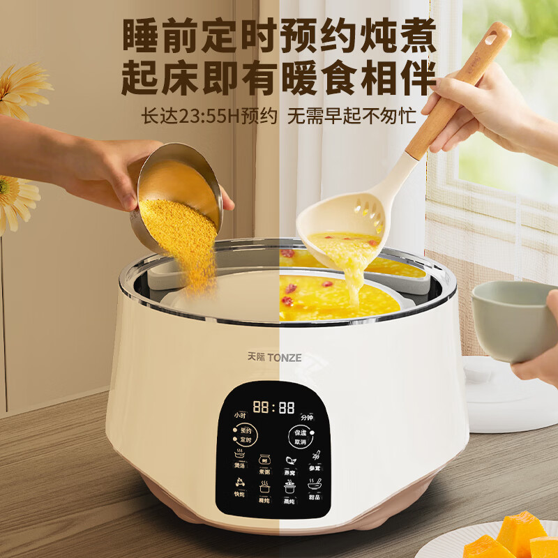 天际GSD-253GD电炖锅图片