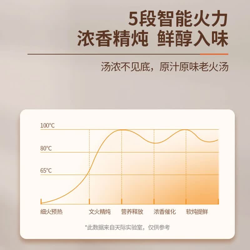 天际DDG-10DX电炖锅图片