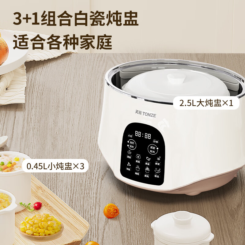 天际GSD-253GD电炖锅图片
