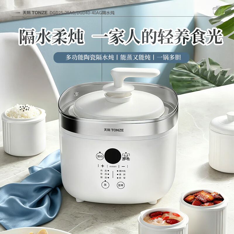 天际DGD40-40AG电炖锅图片